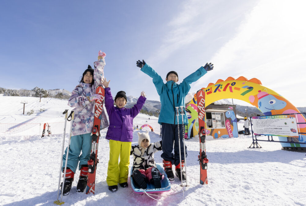 Ski Jam Katsuyama